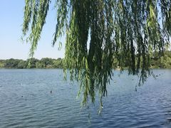 -苏堤停车场
