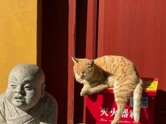 -福州开元寺