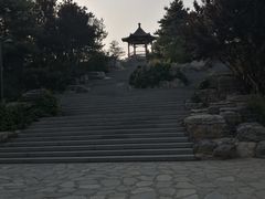 -大兴滨河森林公园