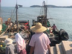 -青岛沙子口国家中心渔港
