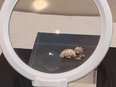 -安阳博物馆