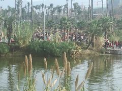 -枫香湖儿童公园