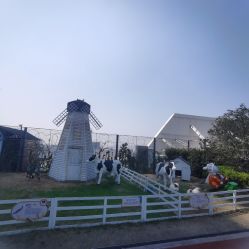 -造物庄园 萌宠纪(苏州湾歌林公园店)