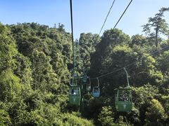 -野象谷景区