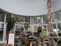 -深圳仙湖植物园