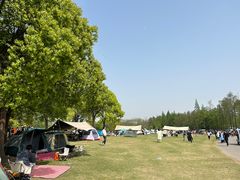 -上海滨江森林公园