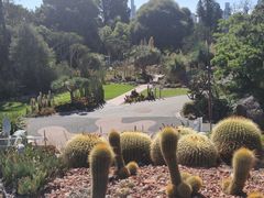 -墨尔本皇家植物园