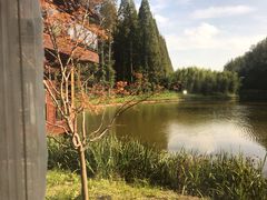 -黄海国家森林公园