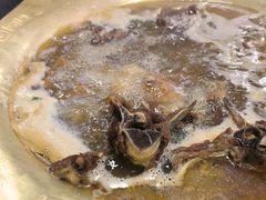 -芦月轩羊蝎子(北蜂窝店)