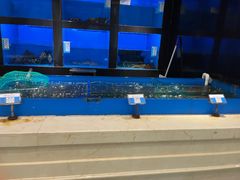 -金时代顺风大酒店(金山店)