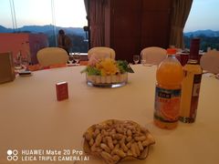 -惠州康帝国际酒店