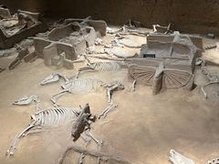 -洛阳周王城天子驾六博物馆