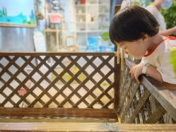 -酷嗒动物文化乐园(cutezoo西溪乐天城店)