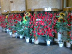 -淀里船宴(卓达店)