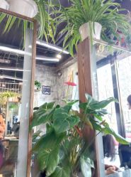 -木北护肤造型