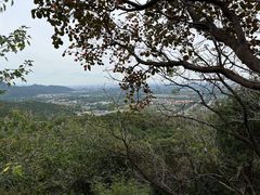 -北京西山国家森林公园