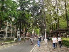 -四川大学(望江校区)