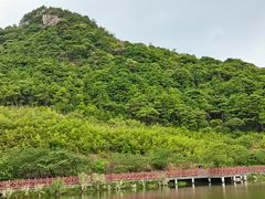 -广州市流溪河国家森林公园
