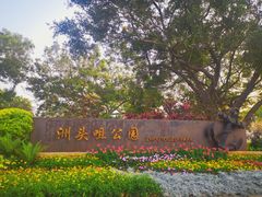 -洲头咀公园
