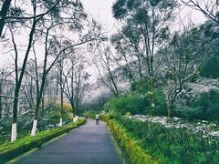 -四川农业大学(雅安校区)