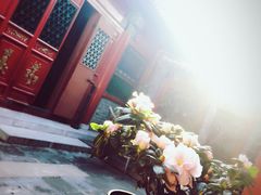 -百好乐宠物友好餐厅(朝外大街店)