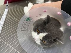 -北京恒爱动物医院(清景园分院)