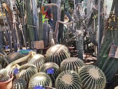 -国家植物园南园