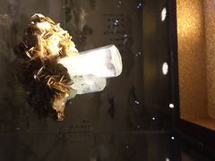 iphone_upload_pic-西安世博园