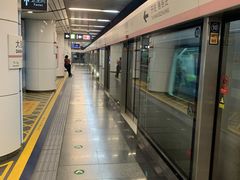-大望路(地铁站)