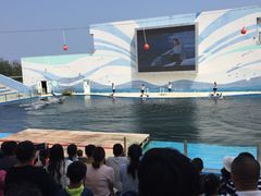 -北戴河圣蓝海洋公园