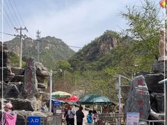 -大岭沟猕猴桃谷风景区