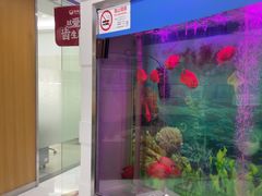 -雅悦齿科(顾村公园店)