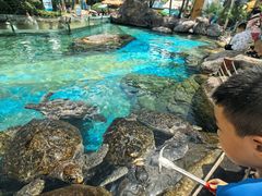 -海合安成都极地海洋公园