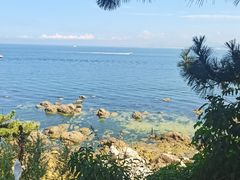 -养马岛旅游度假区