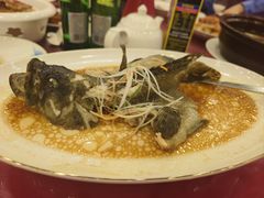 -一品粤珍轩(吴中路店)