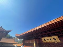 -陈记粤湛鸡饭店
