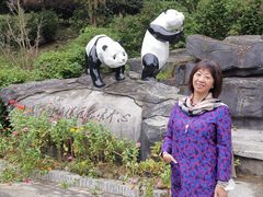 -都江堰中华大熊猫苑