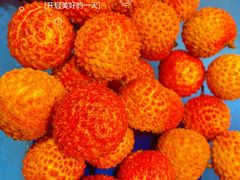 -蓝珊甄选海鲜自助·火锅大排档(近阿那亚店)