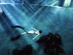 -苏州海洋馆