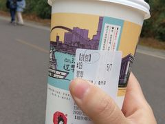 翠翠-茶颜悦色(岳麓山顶店)
