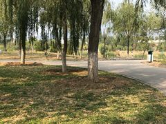 -永定河休闲森林公园