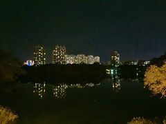 远眺开发区-龙沙公园