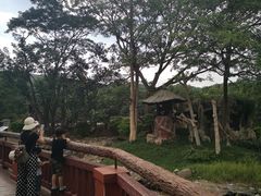 -清迈夜间动物园