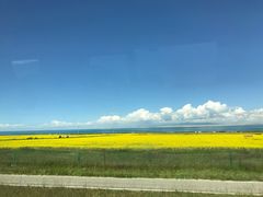 -青海湖国家重点风景名胜区