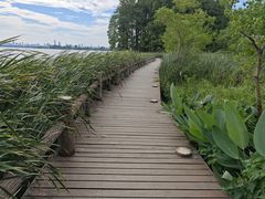 -东湖落雁景区