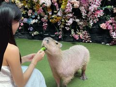 -正佳雨林生态植物园