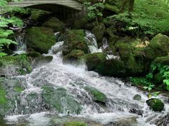 -神农架景区