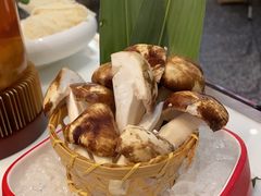 -洪氏嗨捞·猪肚鸡火锅(阳光天地店)