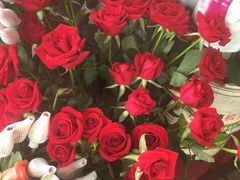 -好莱坞音乐进修学校(四川北路校区)