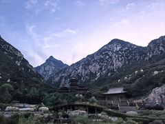 -禅宗少林·音乐大典